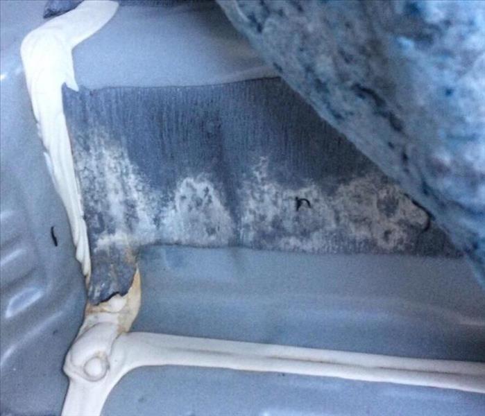 Car foam interior pulled back with mold underneath