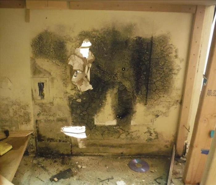 commercial office mold near me downey