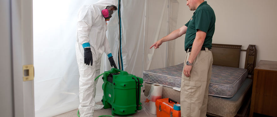Downey, CA mold removal process